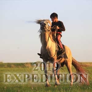 gallery_box_-_2019