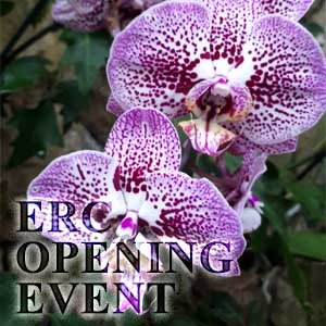 gallery_box_-_opening_event